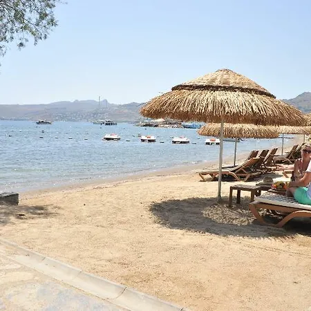 Marma Ortakentyahşi